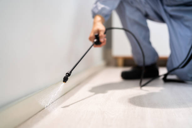 Licensed Termite Control service in Bean Station, TN - Nex Pest Control