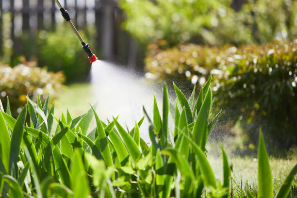 24/7 Emergency Termite Control experts in Bean Station, TN
